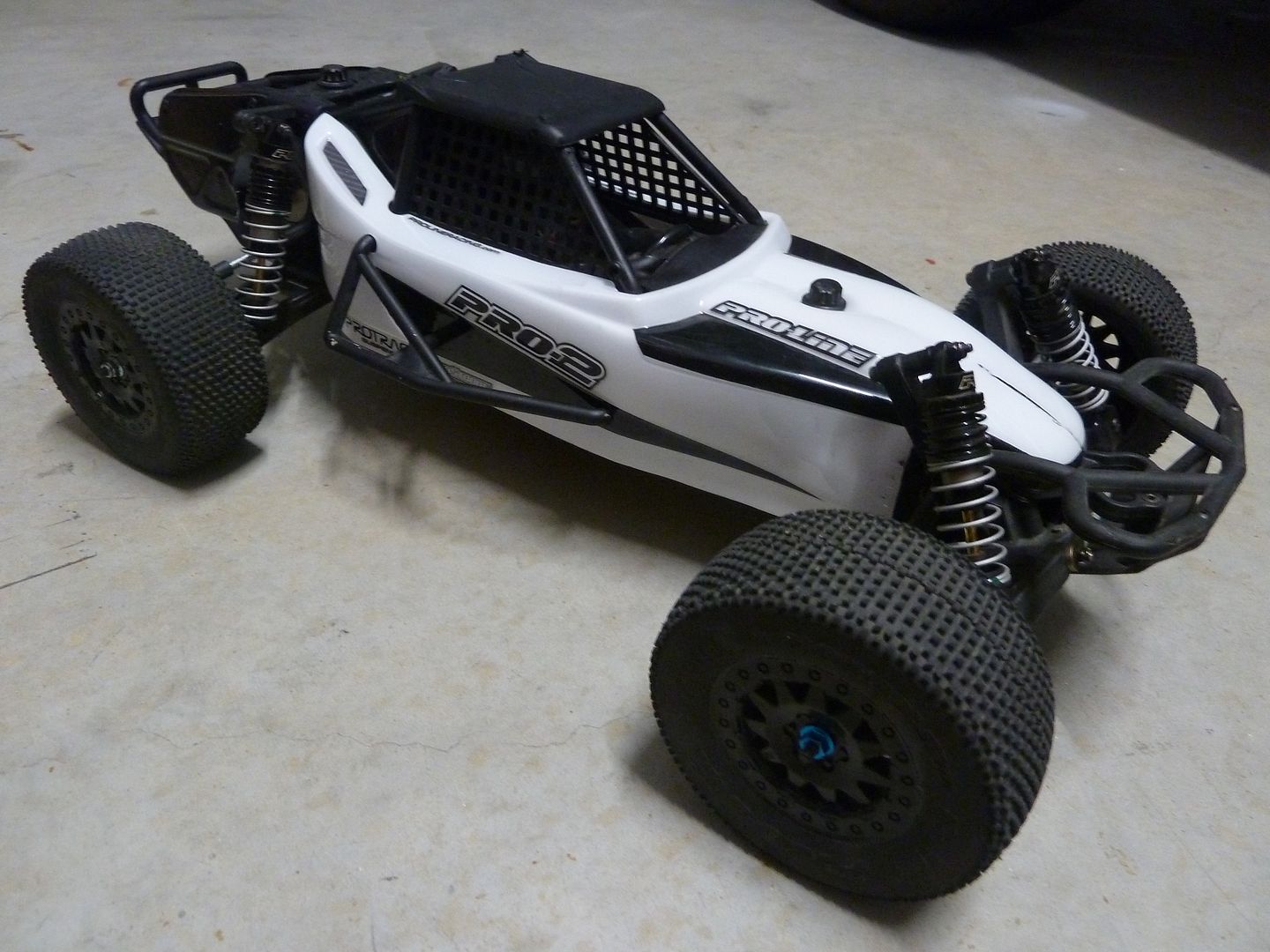 proline short course buggy
